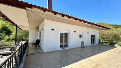 Stella's House