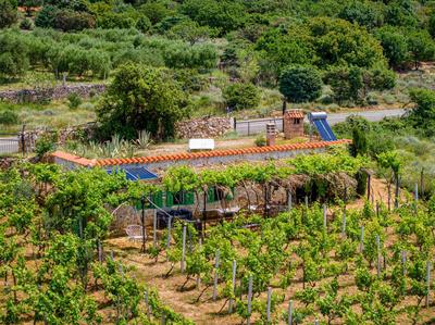 Private Vineyard House