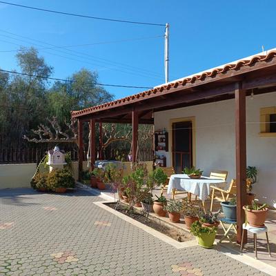 Golden Horizon Retreat, tranquil atmosphere next to the sea!