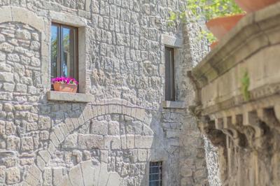 Domus Viterbo Centro