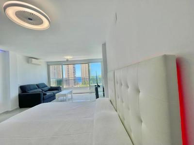 Magnificent Mediterraneo Studio
