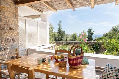 Blue Vista Double Apartment