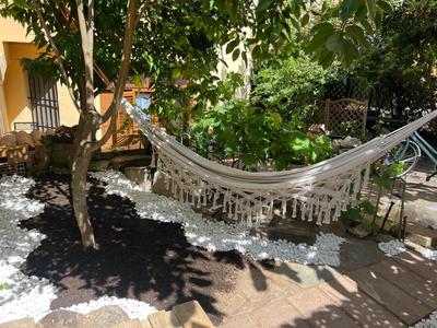 Algher Garden Paradise