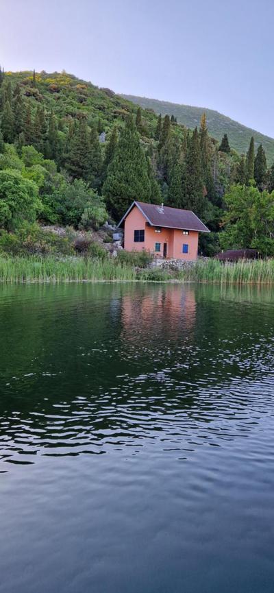 A house in the wilderness