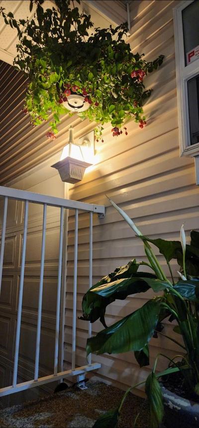 Cozy Comfort rooms in Nanaimo