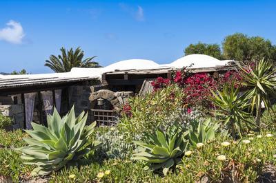 Casa Kokuscia