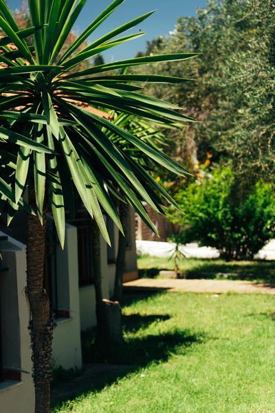 Calypso Resort Kavos