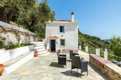 The Mountain Majesty