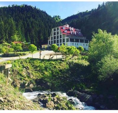 Hotel Green Valley Savsat