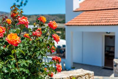 Villa Helissie BY APOKORONAS VILLAS