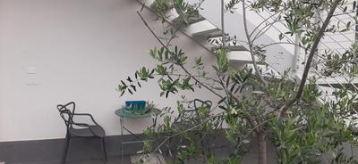 Montisola