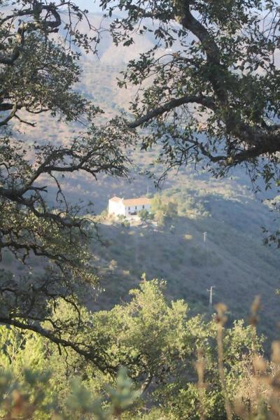 Lagar De Trevenez Montes De Malaga