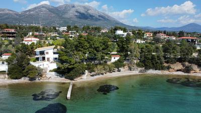 ALIDA Properties