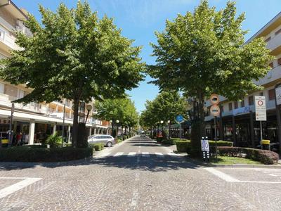 Apartments in Bibione 38291