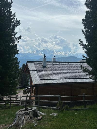 Chalet Resciesa Ortisei