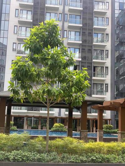 Unit 2X Cluster 5 81 Newport Blvd by Rechelle Nunag