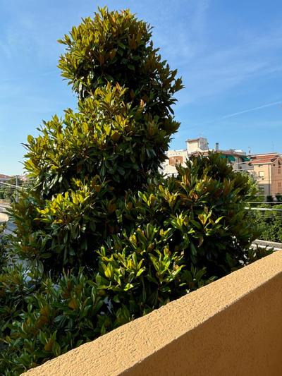 Lugano 41 by ALEhotels