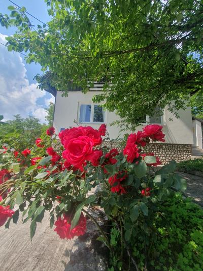 Guesthouse Nikola