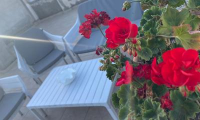 Penthouse 1-Bedroom Open Layout