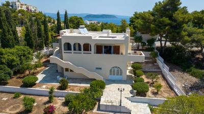 Heliotrope Traditional House