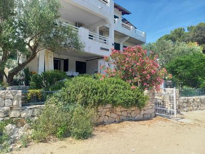 Apartment Fig