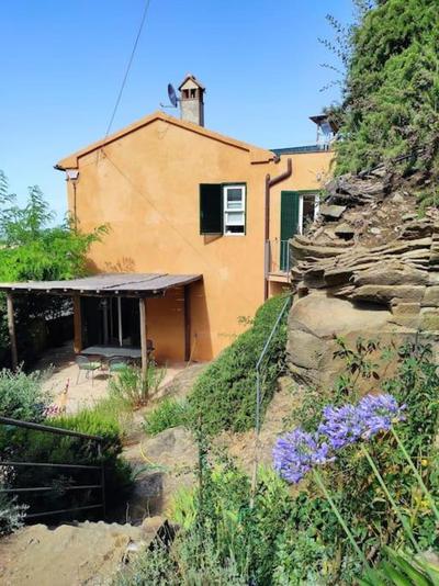 Montiano's garden