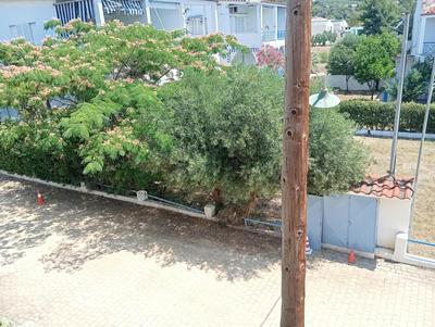 'Sunny Apartment' Gerakini Beach, Halkidiki