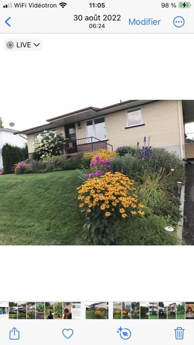 Oasis de la rivière