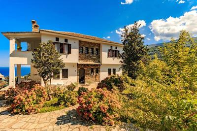 Apartment Zina Pelion