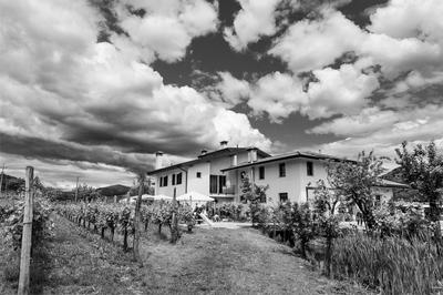 Agriturismo Scribano