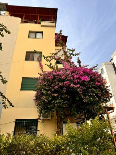 SAG Apartment's