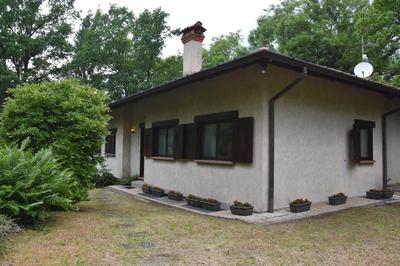 Villa Carolina - Giardino & Quiete