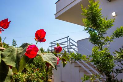 La Dolce Vita - Oasi di Relax - Parcheggio Gratuito a Conversano