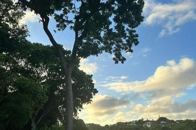 Bungalow de campagne paisible sans vis-à-vis