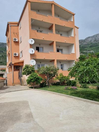 Olive Tree Apartment