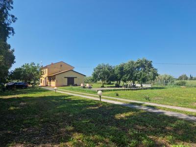 Pianferrari Agriturismo in Maremma