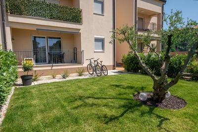 Apartment Lotta with garden