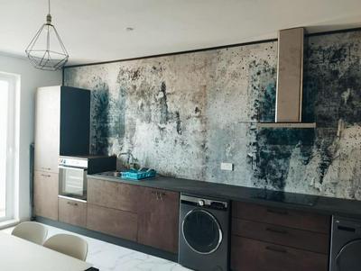 Go Exchange, Block D, Apt 8
