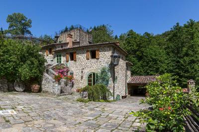 Casa nel Bosco