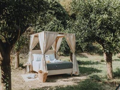 Star Sleep Vryses -Orange Grove