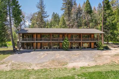 Suite Meadow @CN Lodge# 7
