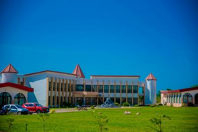 Hôtel Printemps Katana