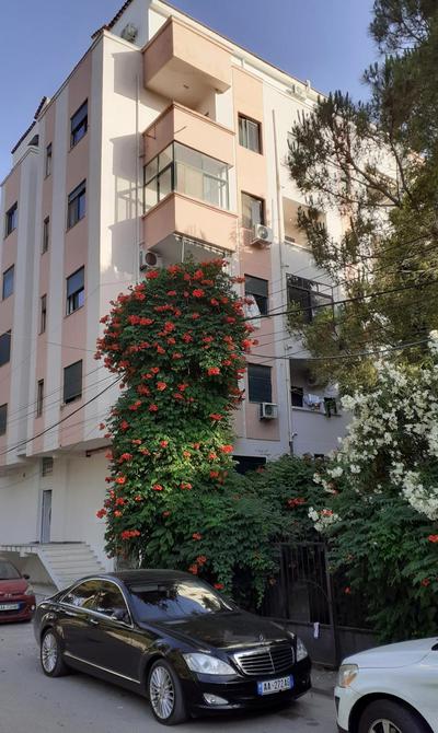 Apartment Venecia