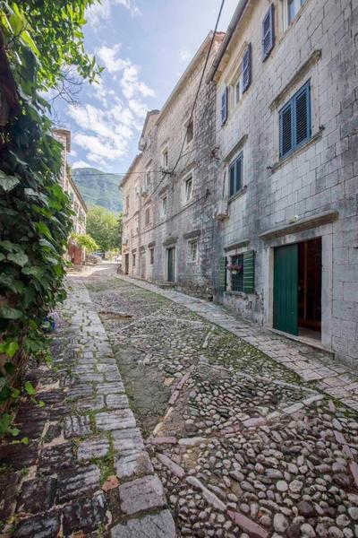 Studio Apartment Kovacic