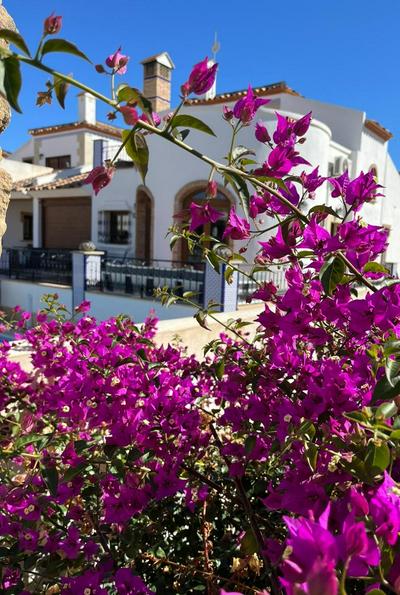 La Torre Alba - La Finca Golf Resort