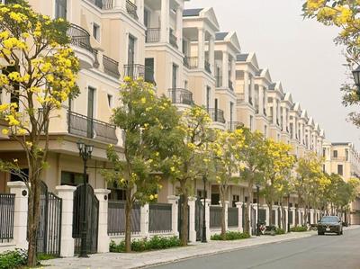 V-Homes vinhomes ocean park 2