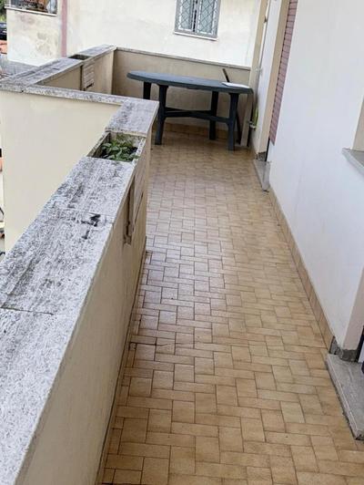 DB Guest House