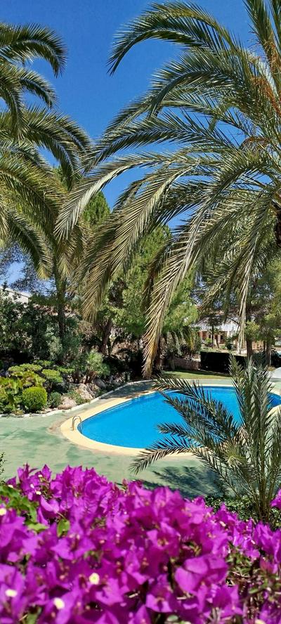 Apartamento Buganvilla Pool
