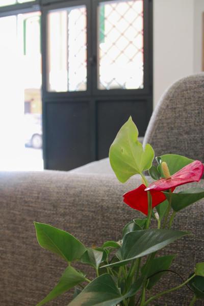 U Zone Apartment