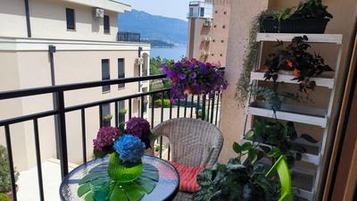 Centre Budva Blue